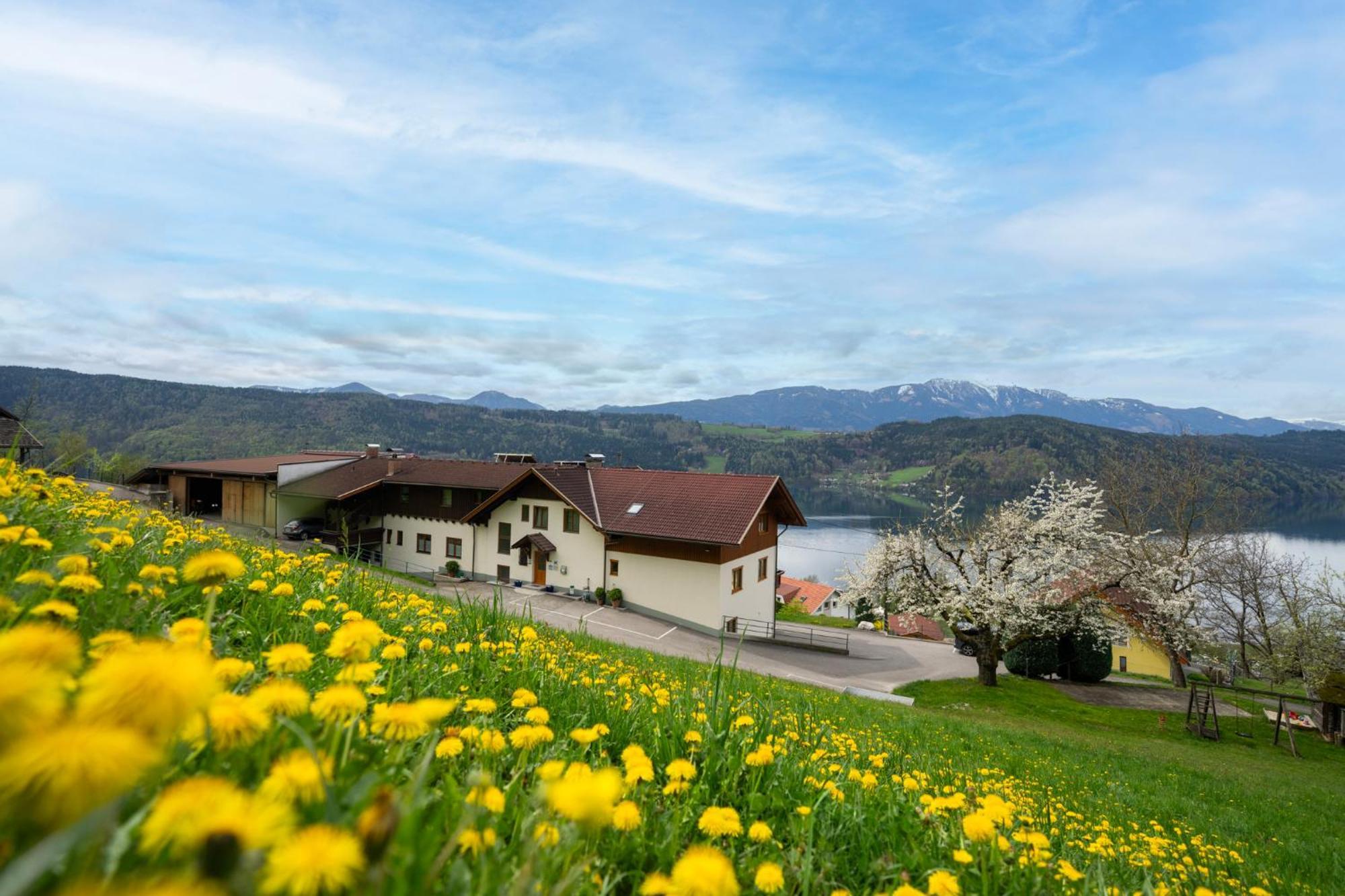 Fruehstueckspension Goetzfried-Hof Millstatt Exterior photo